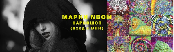 индика Гусь-Хрустальный