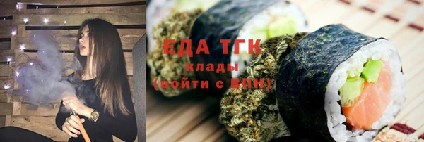 индика Гусь-Хрустальный