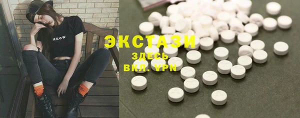 индика Гусь-Хрустальный