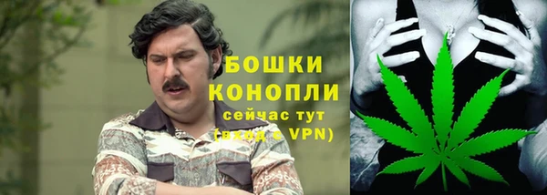 индика Гусь-Хрустальный