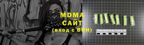 индика Гусь-Хрустальный