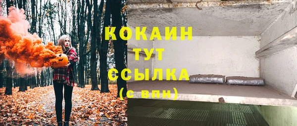 мяу мяу мука Гусев