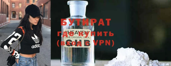 индика Гусь-Хрустальный