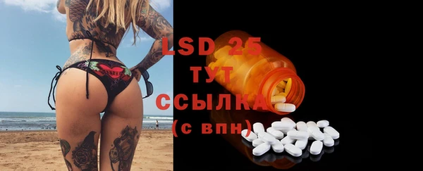 индика Гусь-Хрустальный