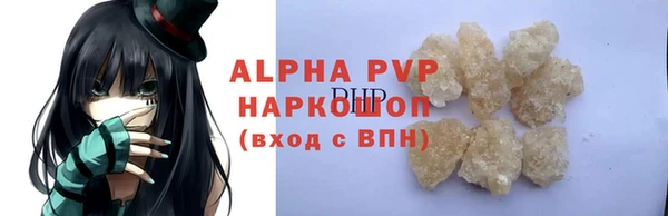 индика Гусь-Хрустальный