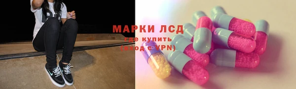 мяу мяу мука Гусев