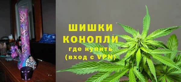 индика Гусь-Хрустальный
