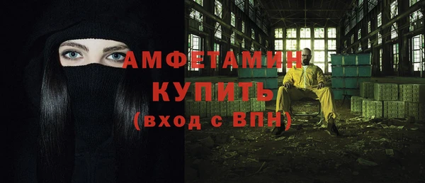индика Гусь-Хрустальный